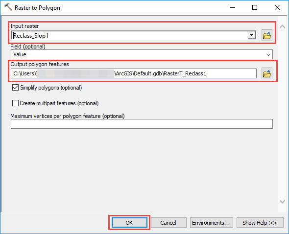 The Raster to Polygon dialog box
