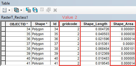 Attribute table of the polygon feature class