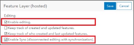 Feature layer (hosted) setting.