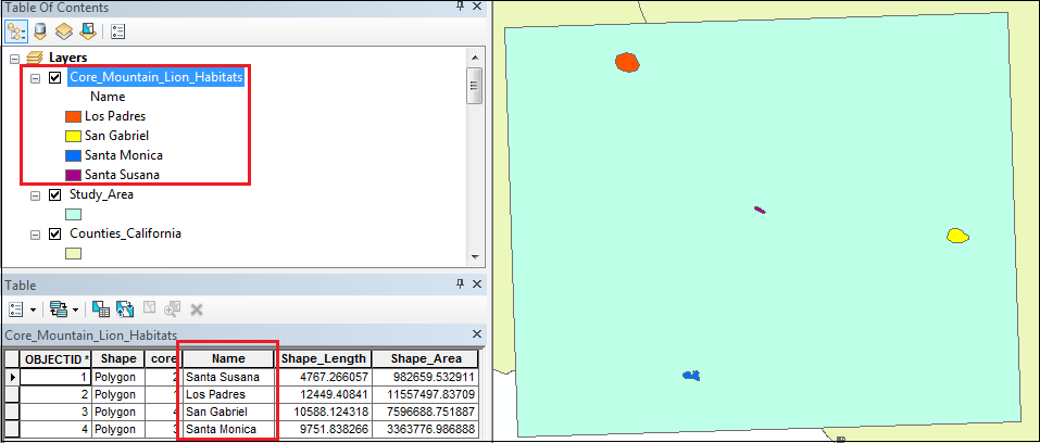 This is the polygon layer