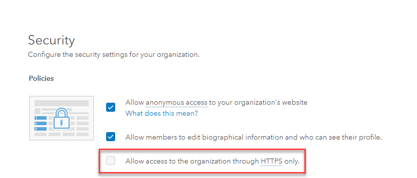 Image of the 'Allow access to the organization through HTTPS only' setting in ArcGIS Online