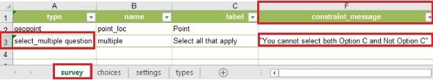 Constraint message in the survey worksheet.