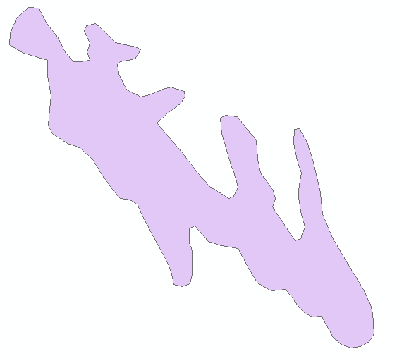 The newly created polygon feature