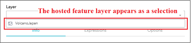 The hosted feature layer appears as a selection