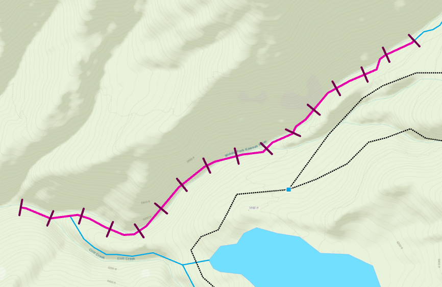 Transects created along the line feature