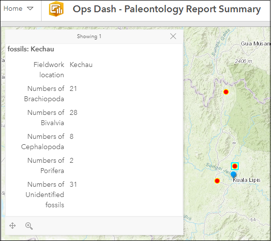 Display in Operations Dashboard