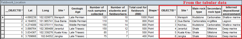 This shows the joined tabular data.