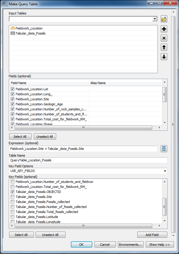 This is the Make Query Table tool.
