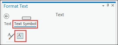 “格式文本”窗格的图像