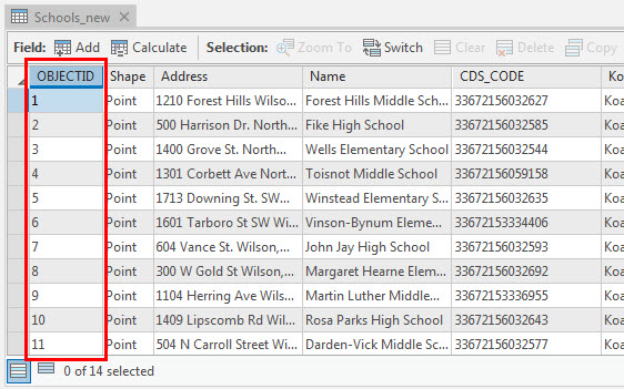 La imagen del campo OBJECTID.