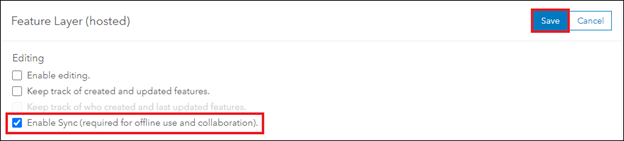 A seção Camada de Feição (hospedada) mostrando a caixa de seleção Habilitar sincronização.