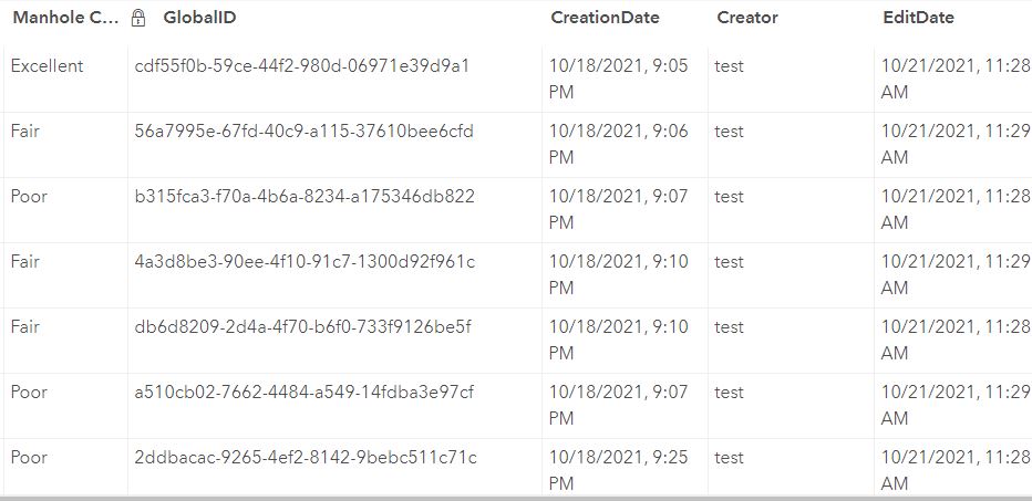 View the updated editor tracking information in the attribute table in the portal