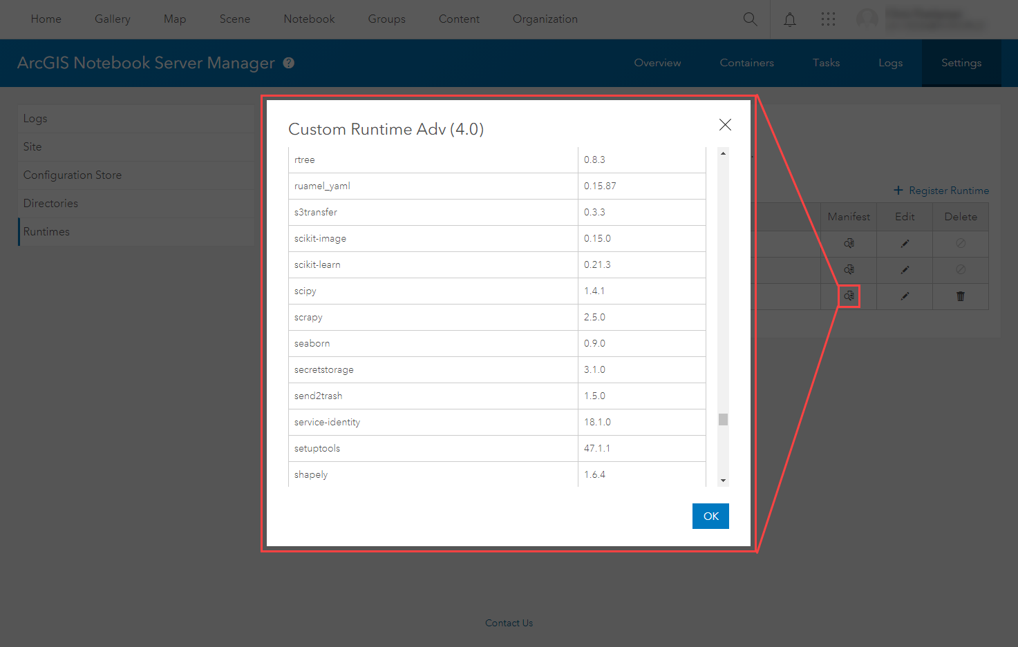 Notebook Manager displaying libraries in the runtime