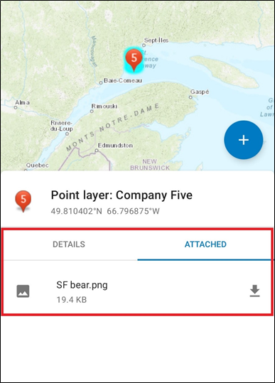 在 ArcGIS Field Maps 弹出窗口中显示的附件。