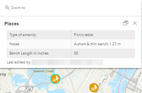 Das Map Viewer-Pop-up mit dem Arcade-Ausdruck für das Feld 