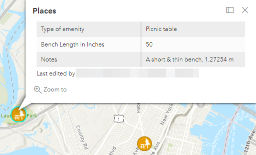 Das Map Viewer-Pop-up ohne den Arcade-Ausdruck für das Feld 