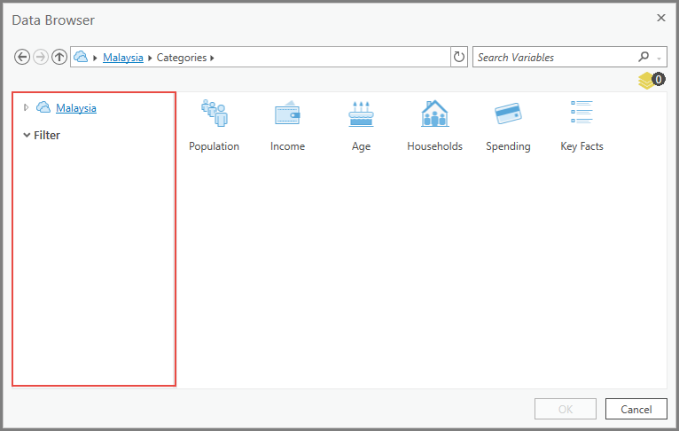 Der Zensus PL94-171 wird nicht angezeigt