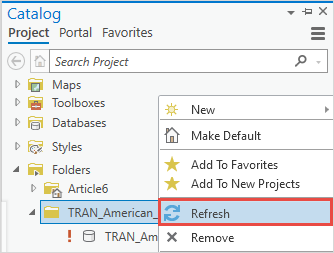 Problem: Unable to view certain files in the Catalog pane in ArcGIS Pro