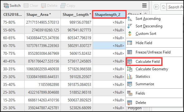 Klicken Sie mit der rechten Maustaste auf Shape_Length_2 und dann im Dropdown-Menü von ArcGIS Pro auf 