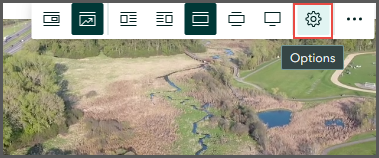 The Options button on the video
