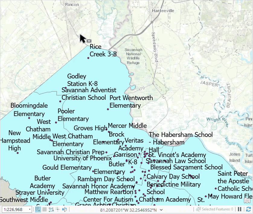 The animation shows the desired graphics are being selected on the map in ArcGIS Pro.