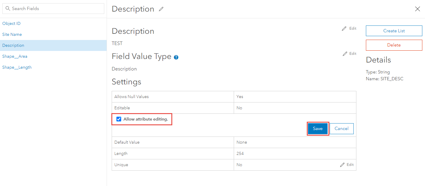 The Details page of the Description field