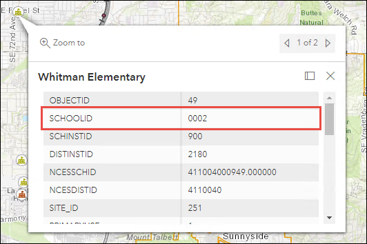 The pop-up displaying leading zeroes in the field value in Portal for ArcGIS Map Viewer