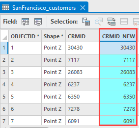 The CRMID_NEW field in the attribute table.