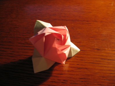 Origami Box Rose