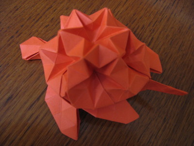 Origami Star Turtle