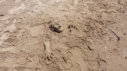 Sand Zombie