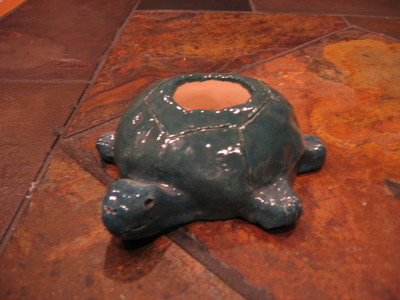 Turtle Pot