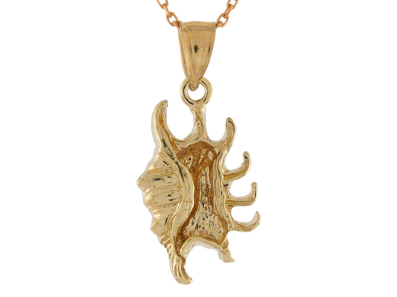 10k Yellow Gold Stunning Unique Seashell Conch High Polish Pendant