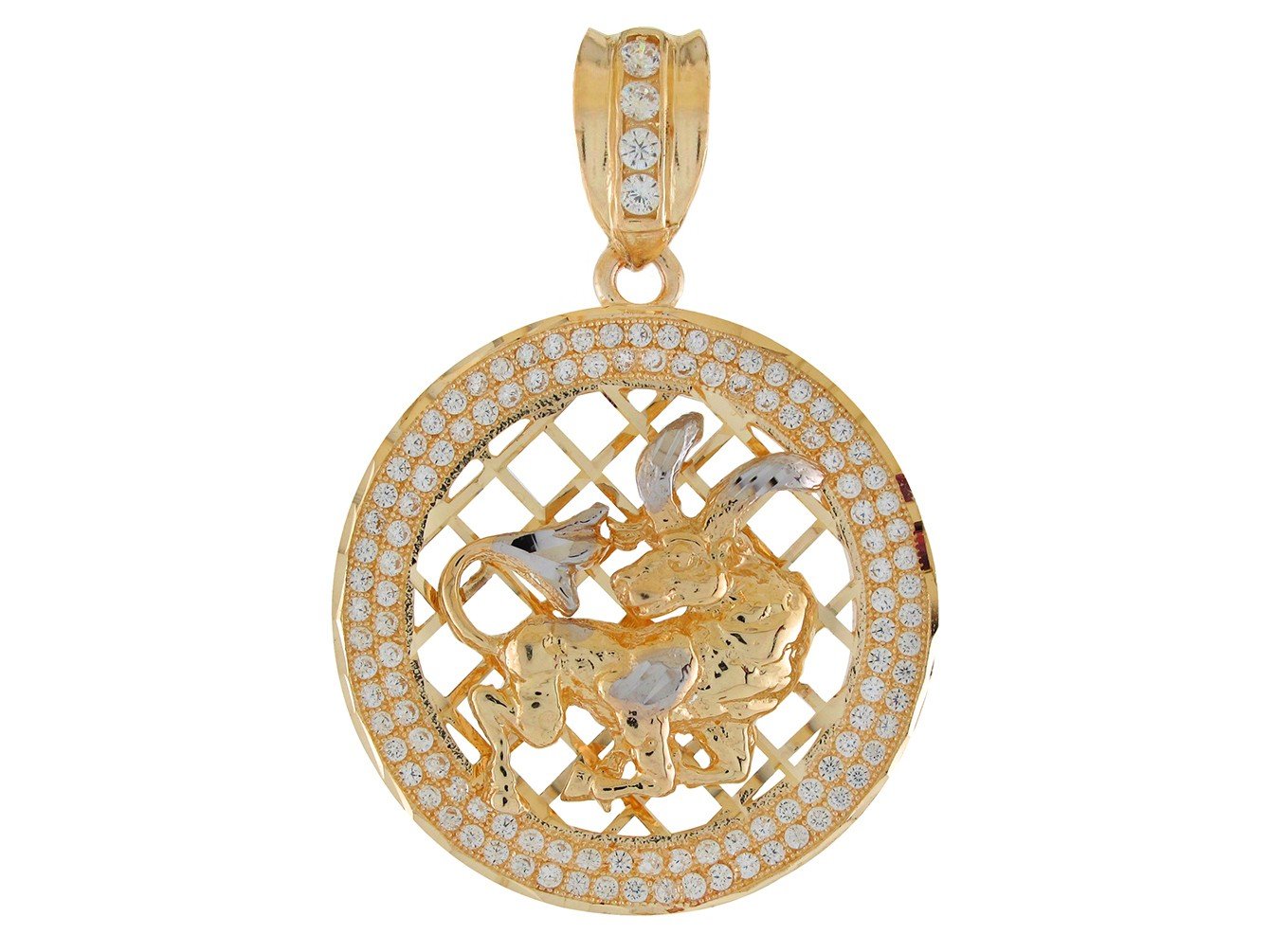 10k Two Tone Gold Round Frame Stunning Capricorn Zodiac CZ Halo Pendant