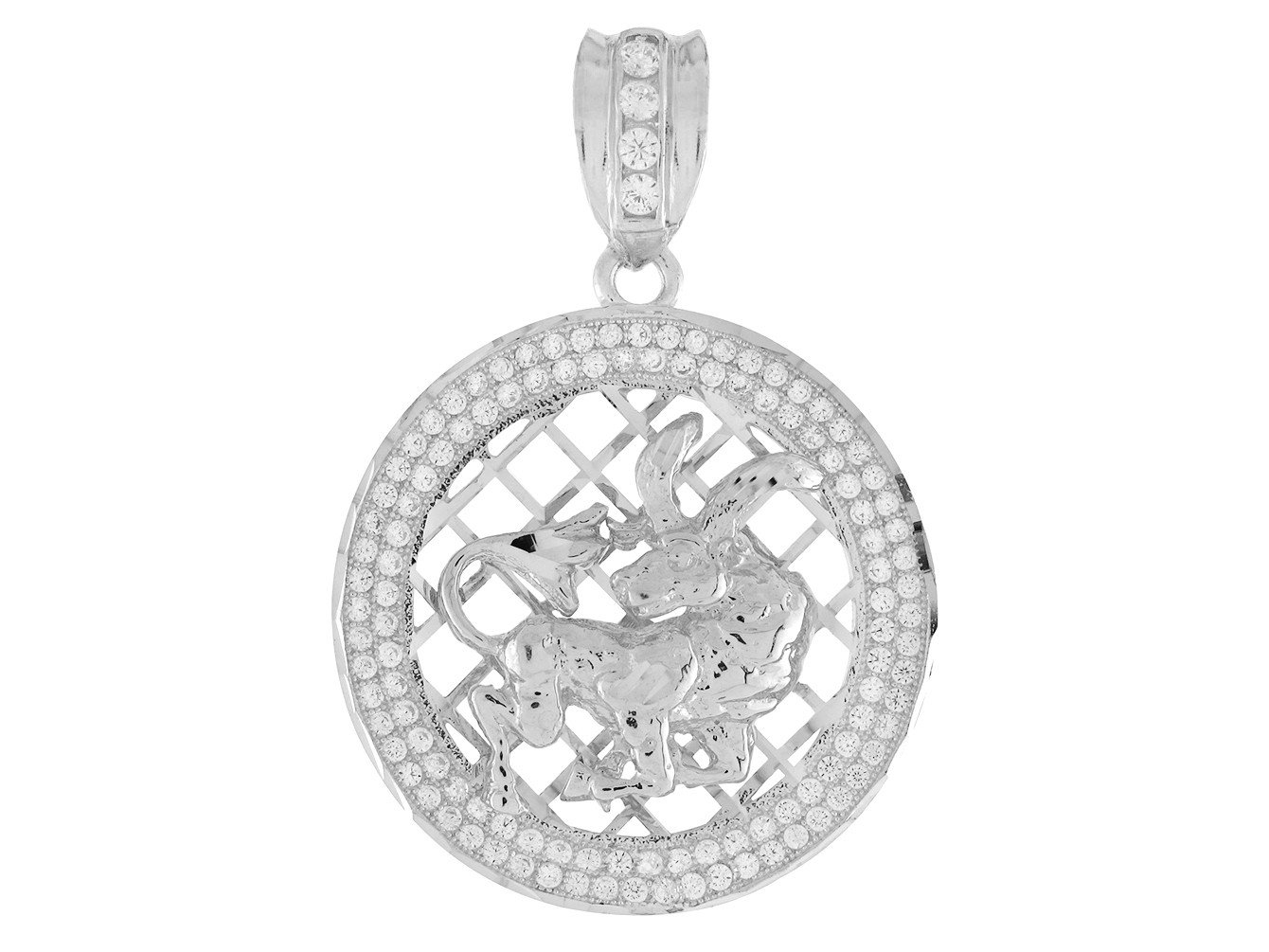 10k White Gold Round Frame Stunning Capricorn Zodiac CZ Halo Pendant