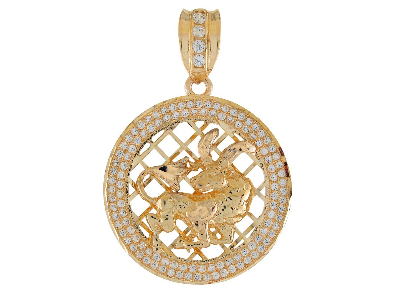 10k Two Tone Gold Round Frame Stunning Capricorn Zodiac CZ Halo Pendant