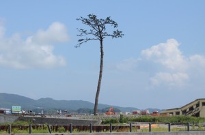  岩手・宮城取材団２日目 写真 5