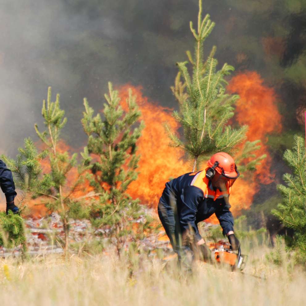 Careers Page Advanced Fire Management - Wildland Firefighting Background Image Wildland firefighters work fast to slow a forest fire.