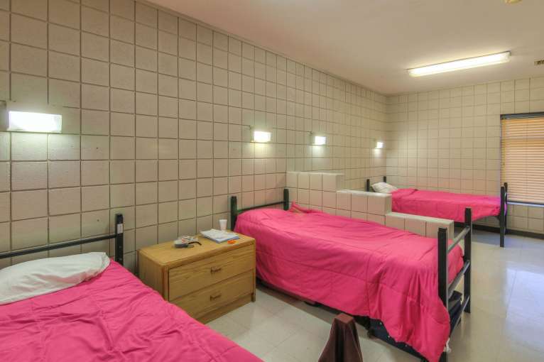 Talking_Leaves_Dorm52