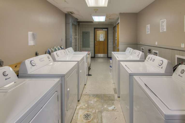 Talking_Leaves_Dorm55