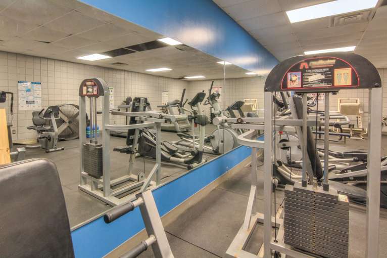 Talking_Leaves_Rec12