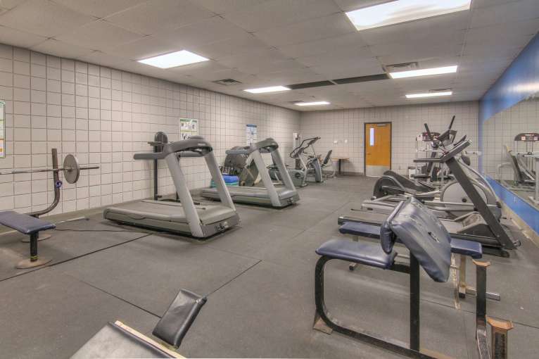 Talking_Leaves_Rec14