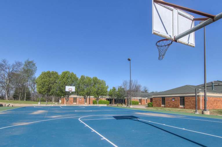 Talking_Leaves_Rec26