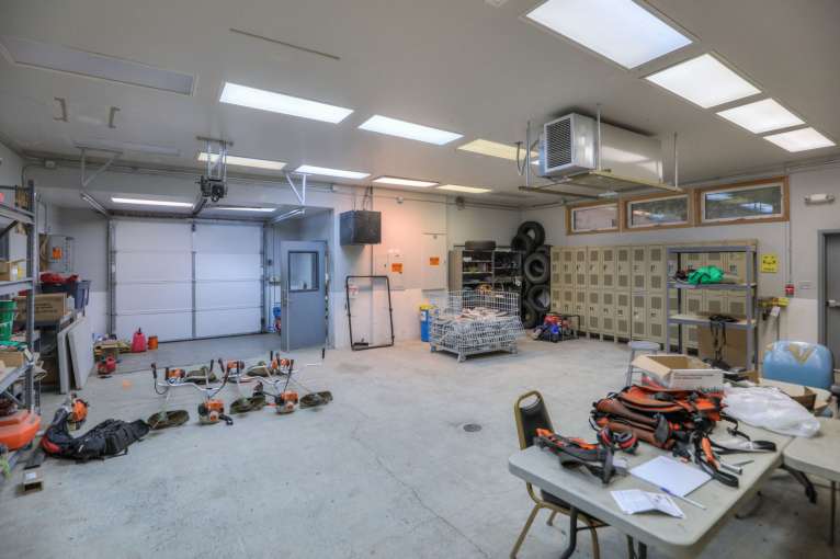 Timber_Lake_Train_Forest2