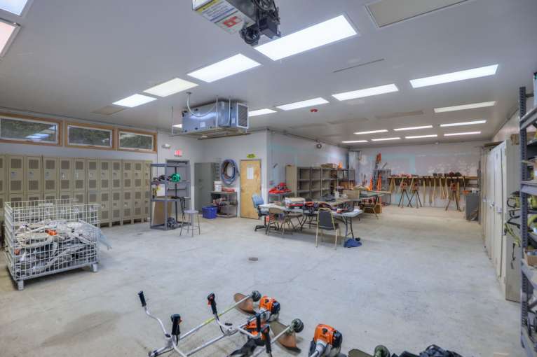 Timber_Lake_Train_Forest3