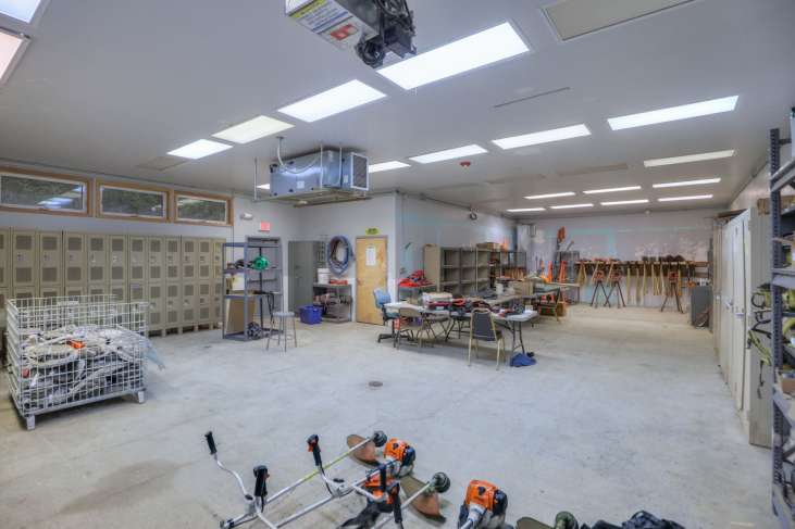 Timber_Lake_Train_Forest3