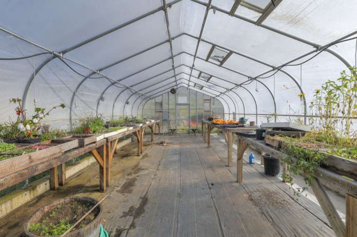 Treasure_Island_Grounds61