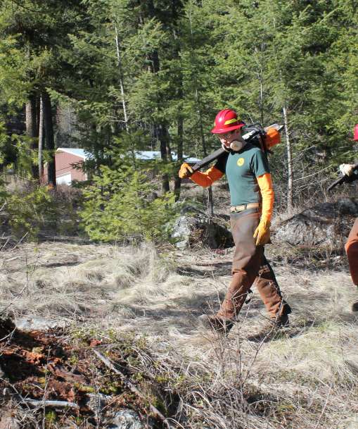 Students carrying chainsaws and wearing hard hats walk into a clearing