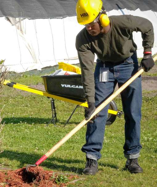 Landscaper moves much around the base of a shrub with a hoe