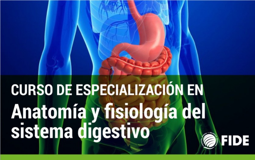 ANATOMÍA Y FISIOLOGÍA DEL SISTEMA DIGESTIVO